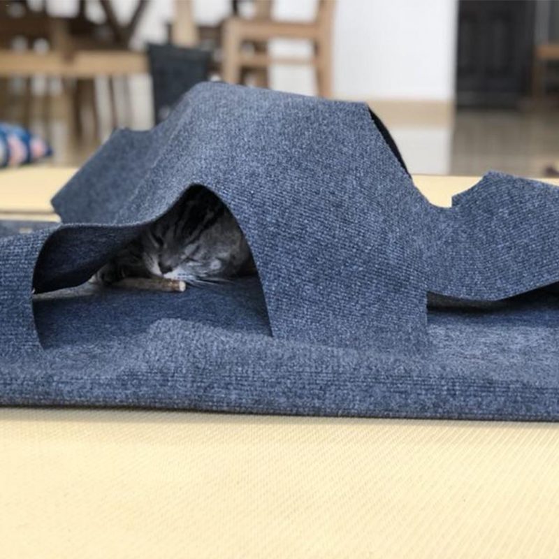 Tapis De Cache-cache Pour Chat