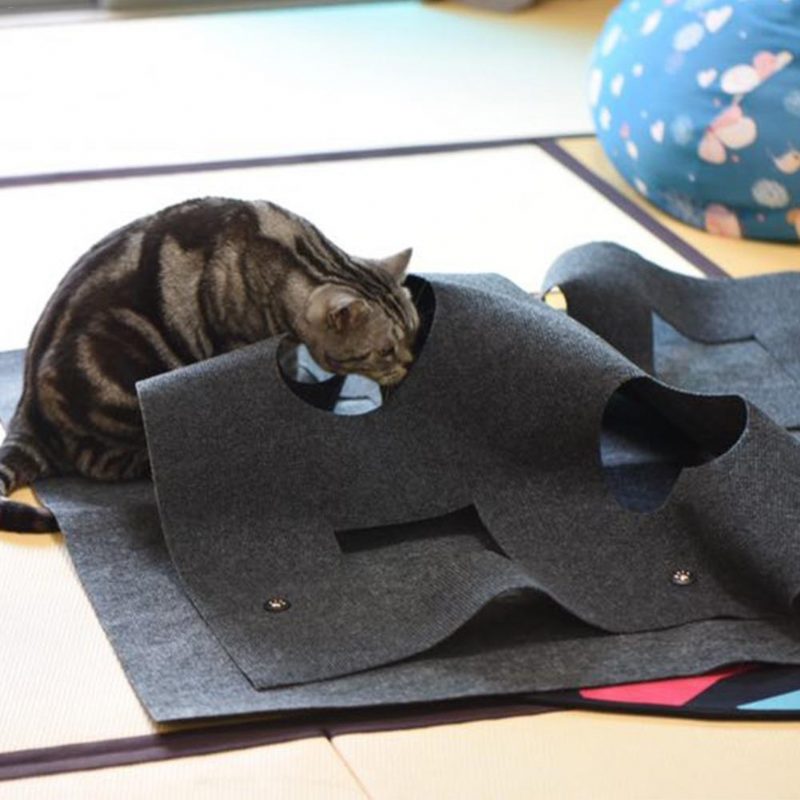 Tapis De Cache-cache Pour Chat