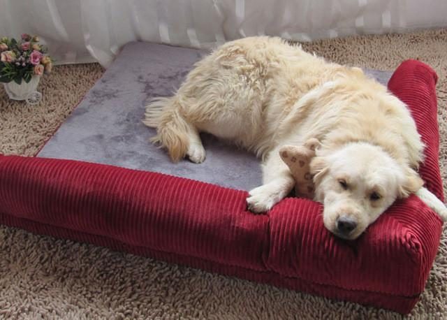 Tapis De Canapé Confortable Et Amovible Pour Chien