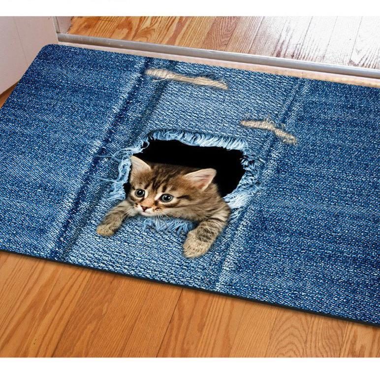 Tapis De Chat Paillassons