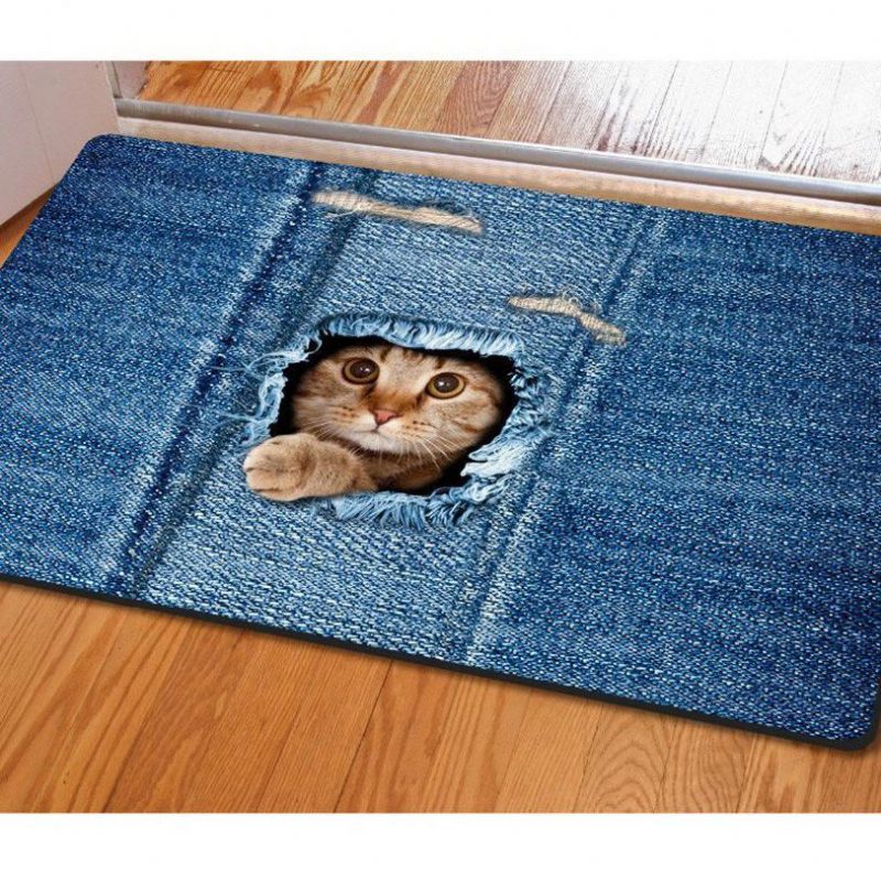 Tapis De Chat Paillassons