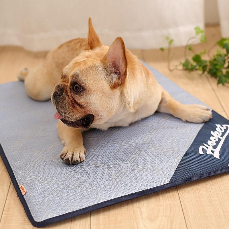 Tapis De Refroidissement Pour Animaux De Compagnie D'été