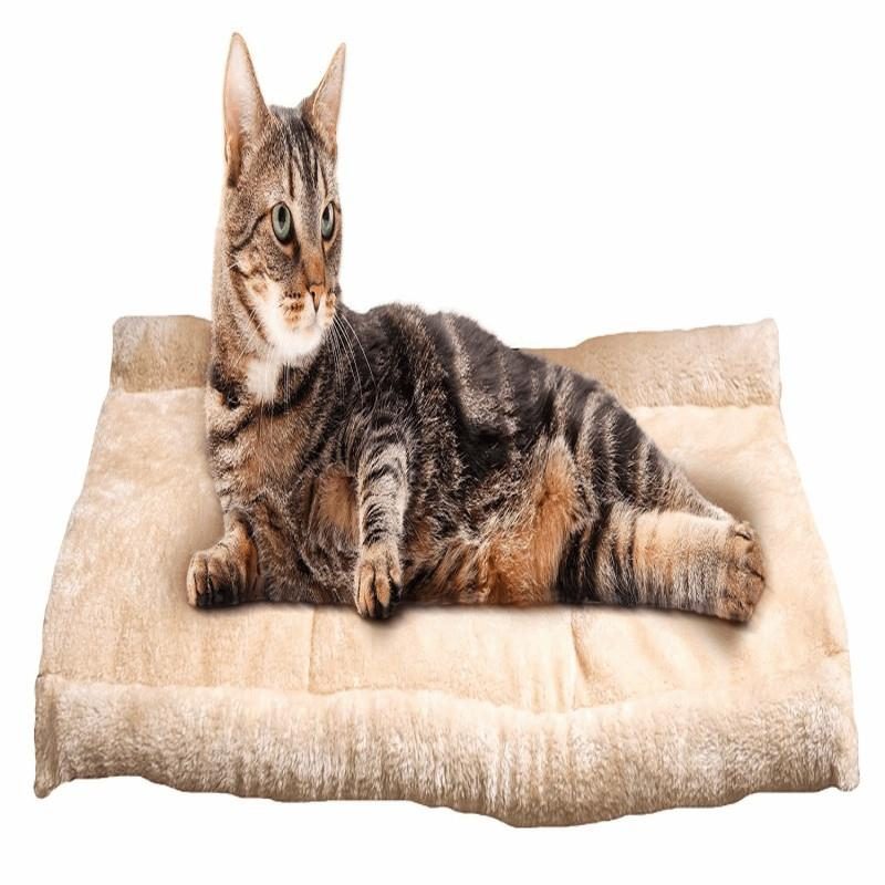 Tapis Et Lit Pour Chat 2 En 1