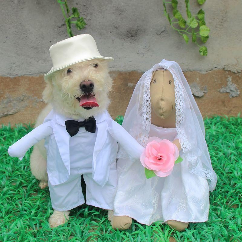 Tenue De Mariage Pour Animaux De Compagnie