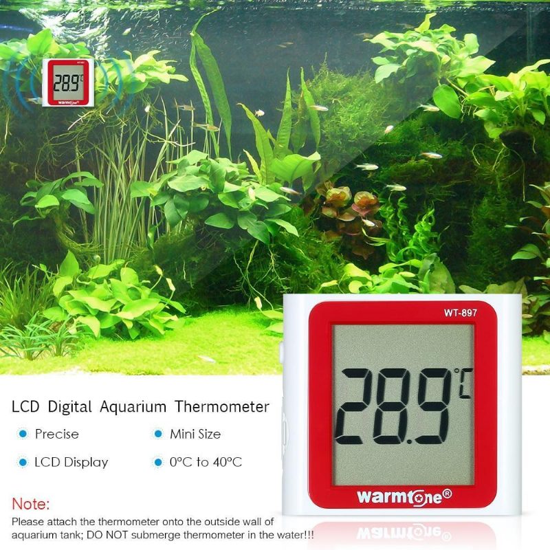 Thermomètre D'aquarium Numérique Lcd