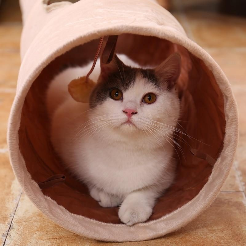 Tunnel De Peau De Chat