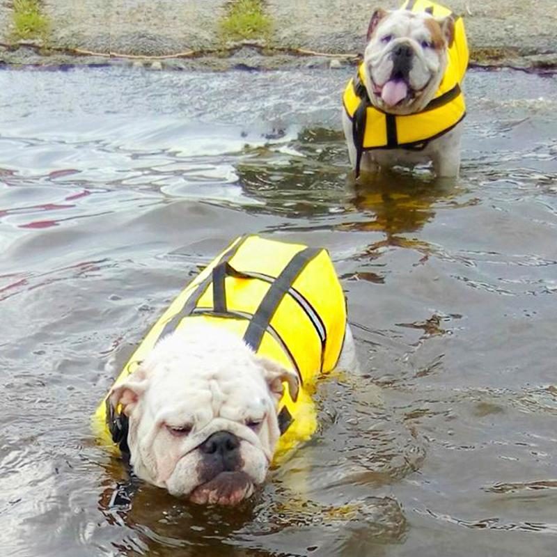 Veste De Gilet De Sécurité Pour Animaux De Compagnie