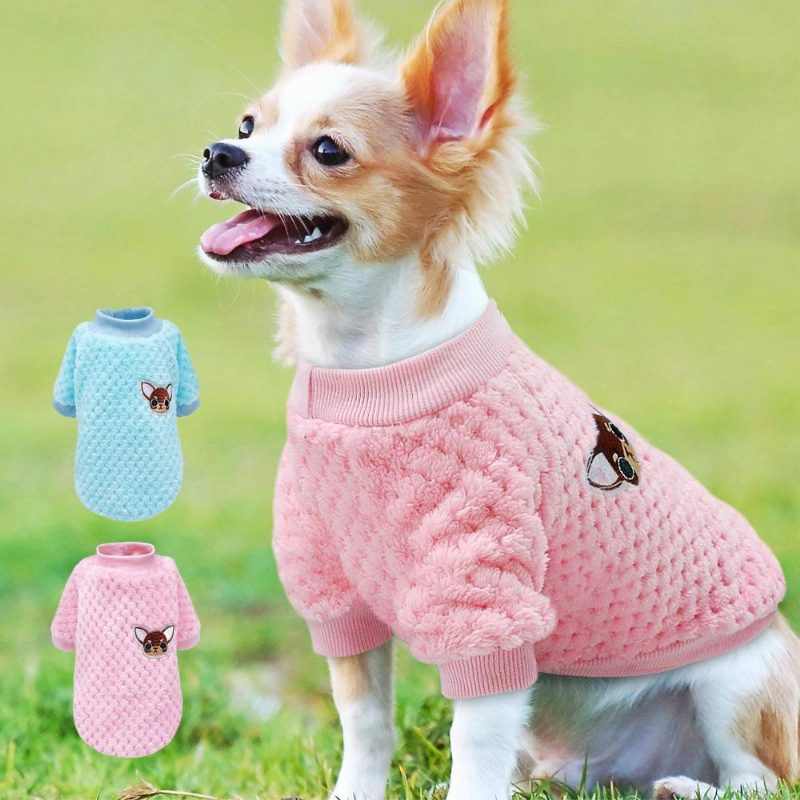 Veste En Tricot Pour Chien