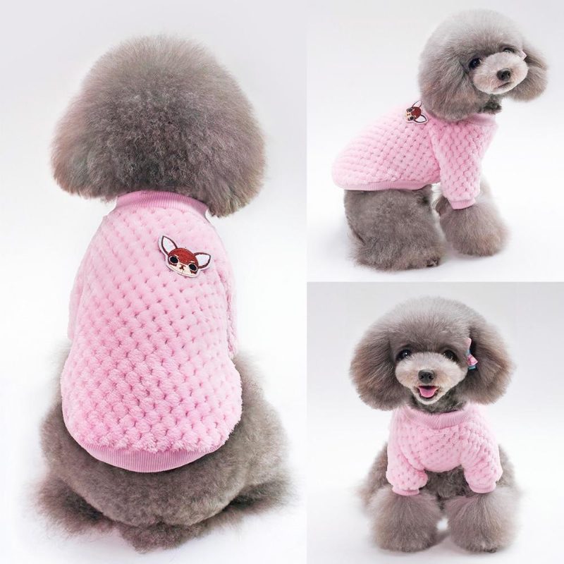 Veste En Tricot Pour Chien