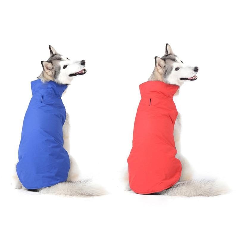 Veste Imperméable Colorée Pour Animaux De Compagnie