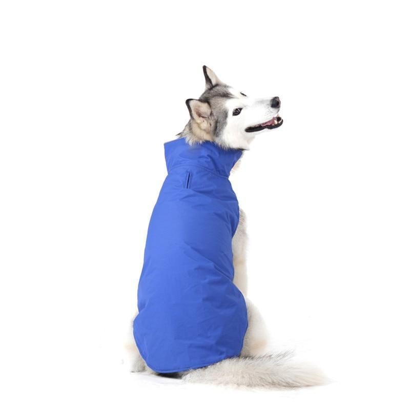 Veste Imperméable Colorée Pour Animaux De Compagnie