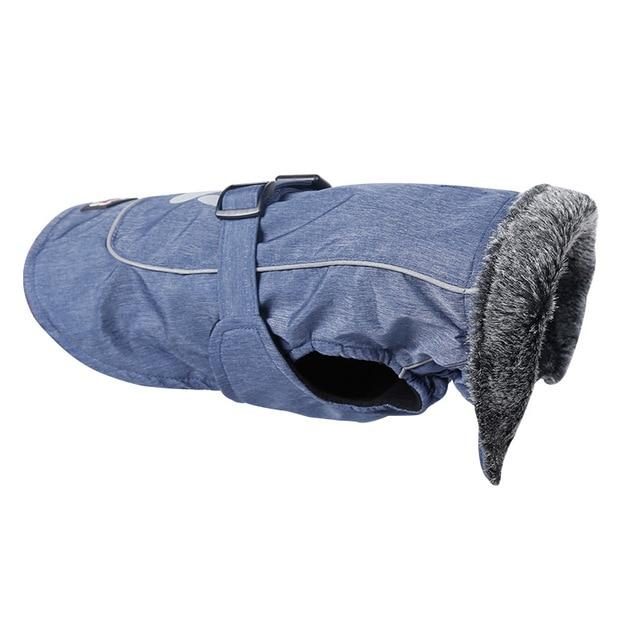 Veste Imperméable Pour Chien