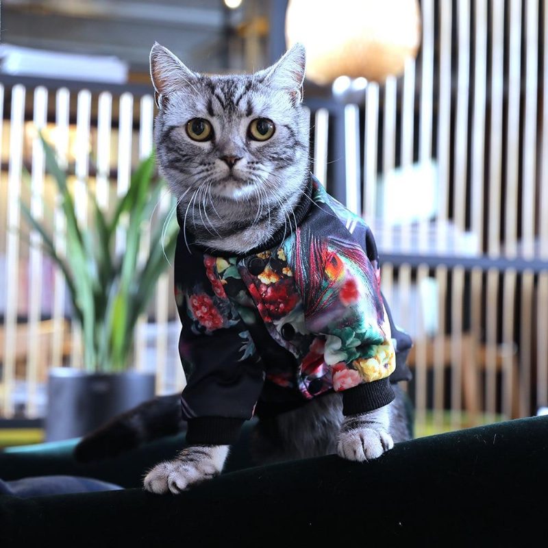 Veste Pour Animaux De Compagnie À Imprimé Floral