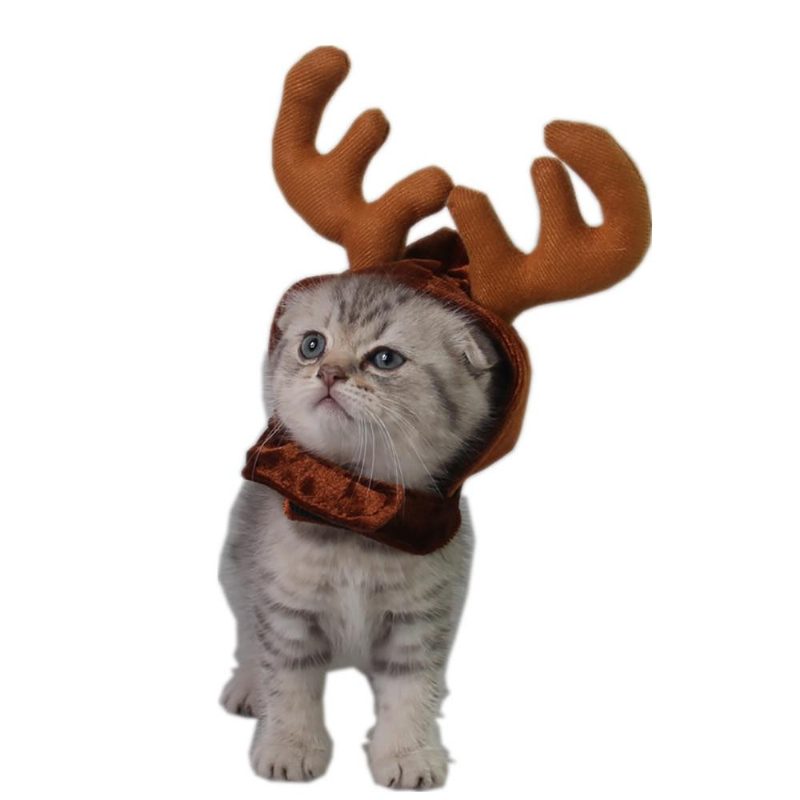 Vêtements De Déguisement Pour Animaux De Compagnie De Noël Mignons