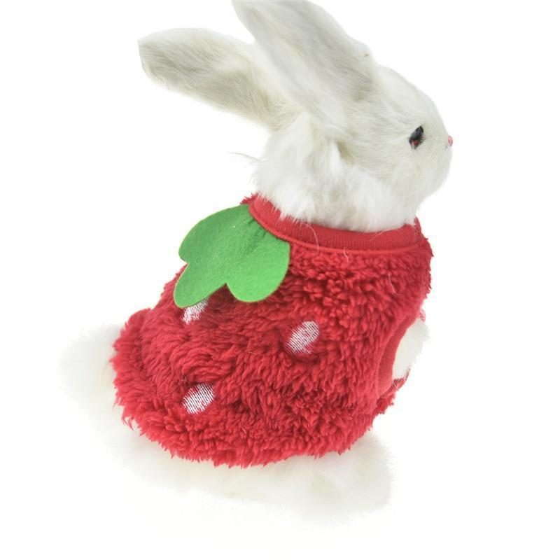 Vêtements D'hiver En Molleton De Lapin