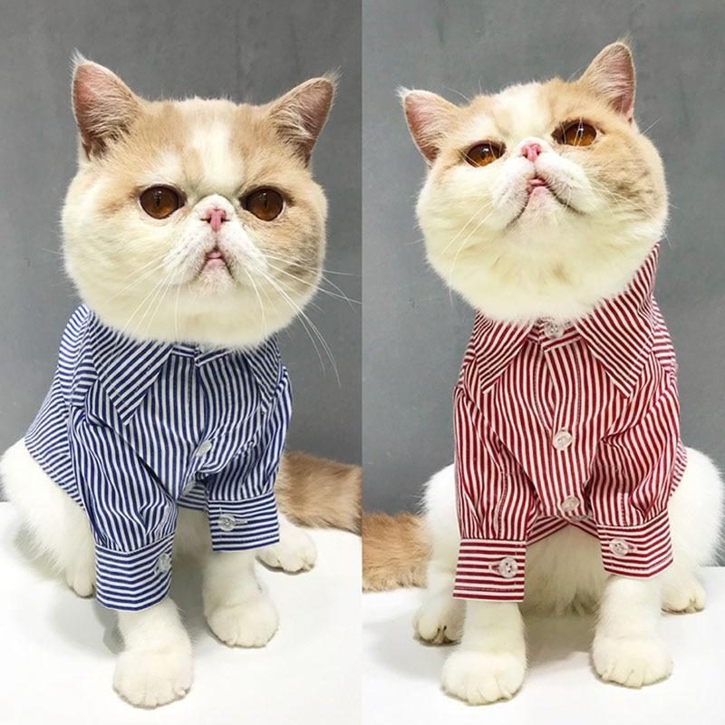 Vêtements Pour Animaux De Compagnie Chemise Rayée