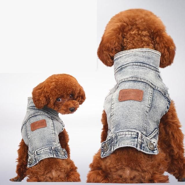 Vêtements Pour Chiens En Denim D'été Bleu Jean