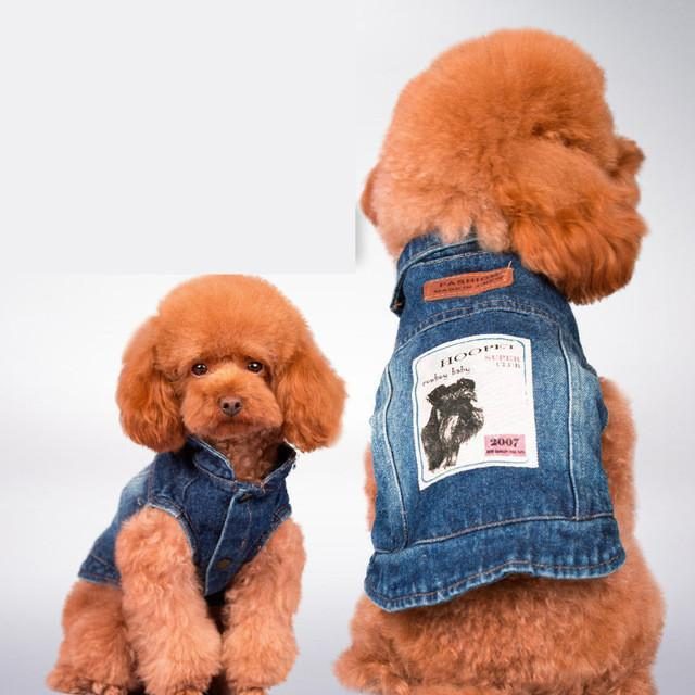 Vêtements Pour Chiens En Denim D'été Bleu Jean